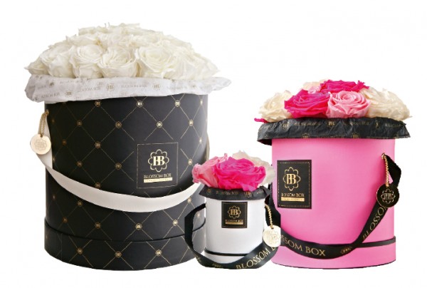 blossom-box_head