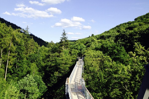 Blick-ins-Kalte-Tal_BWP-Harz